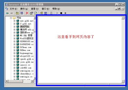 IIS 6 网站无法预览的排查与解决方案——安全狗论坛技术交流
